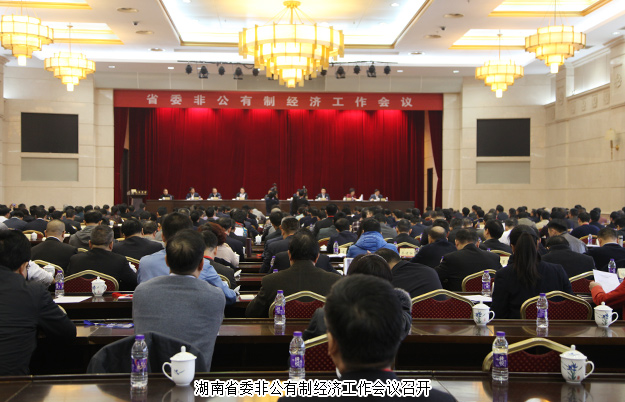 绿之韵集团董事长胡国安出席湖南省委非公有制经济工作会议，并接受湖南卫视、经视采访