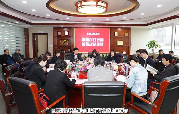 国家部委联合督导组莅临绿之韵集团检查指导