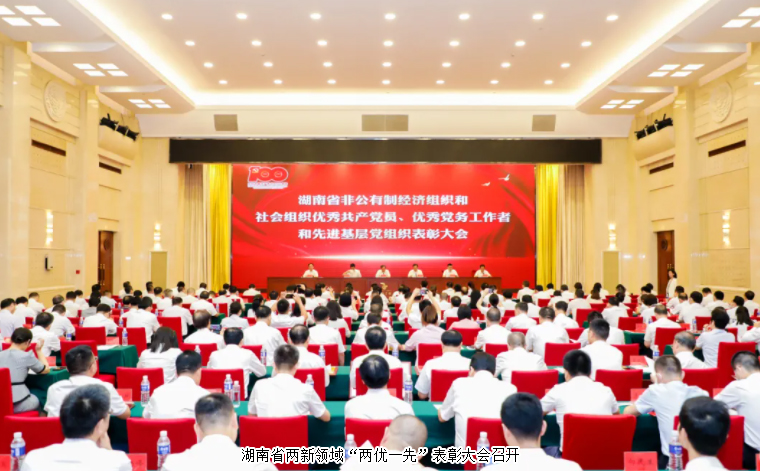 湖南省两新领域“两优一先”表彰大会召开，绿之韵集团党委书记刘云荣获湖南省“优秀党务工作者”荣誉