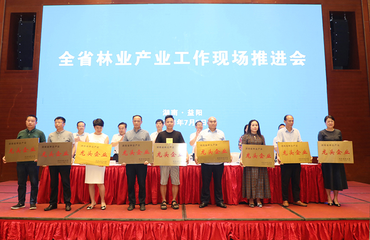 喜讯 | 绿之韵集团荣获“湖南省林业产业化龙头企业”称号