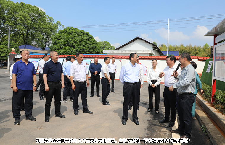 胡国安代表陪同长沙市人大常委会党组书记、主任文树勋一行专题调研农村集体经济，助力乡村振兴