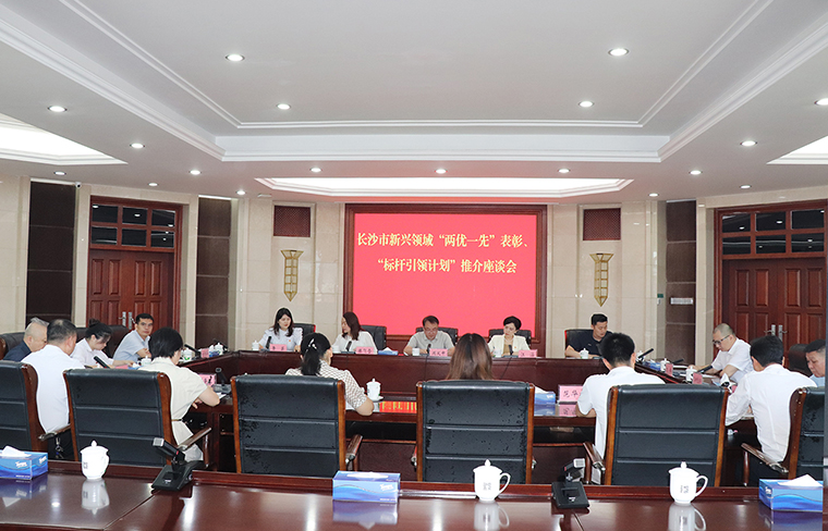 绿之韵集团党委获评长沙市新兴领域“标杆引领党组织”荣誉称号